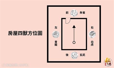 電視要放龍邊還是虎邊|【龍虎邊怎麼分】掌握風水秘訣！「龍虎邊」怎麼分？。